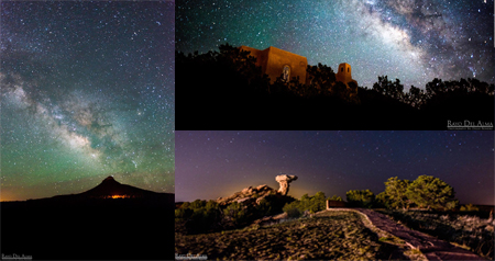 New Mexico Prospectus $241